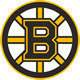 :bruins